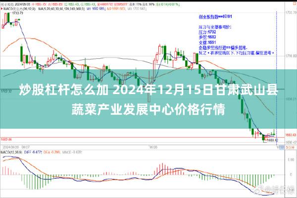 炒股杠杆怎么加 2024年12月15日甘肃武山县蔬菜产业发展中心价格行情