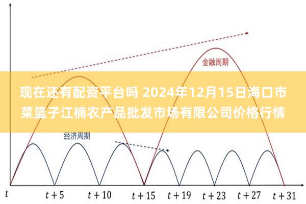 现在还有配资平台吗 2024年12月15日海口市菜篮子江楠农产品批发市场有限公司价格行情