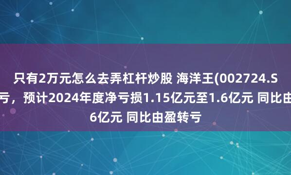 只有2万元怎么去弄杠杆炒股 海洋王(002724.SZ)发预亏，预计2024年度净亏损1.15亿元至1.6亿元 同比由盈转亏