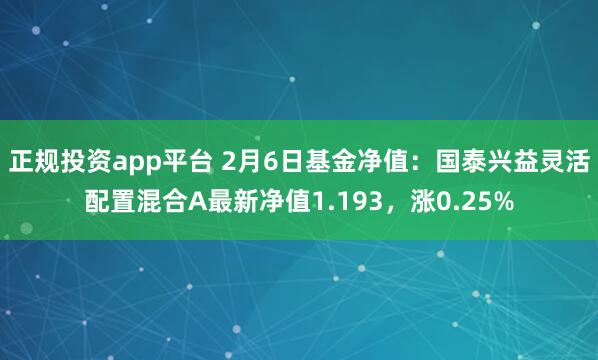 正规投资app平台 2月6日基金净值：国泰兴益灵活配置混合A最新净值1.193，涨0.25%