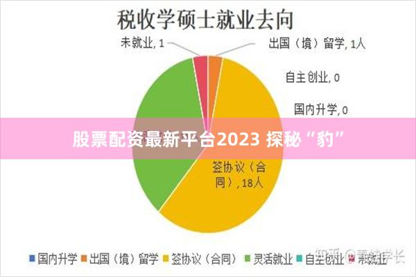 股票配资最新平台2023 探秘“豹”