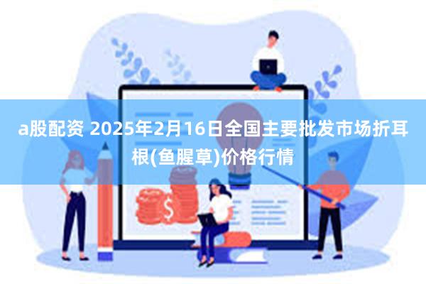 a股配资 2025年2月16日全国主要批发市场折耳根(鱼腥草)价格行情