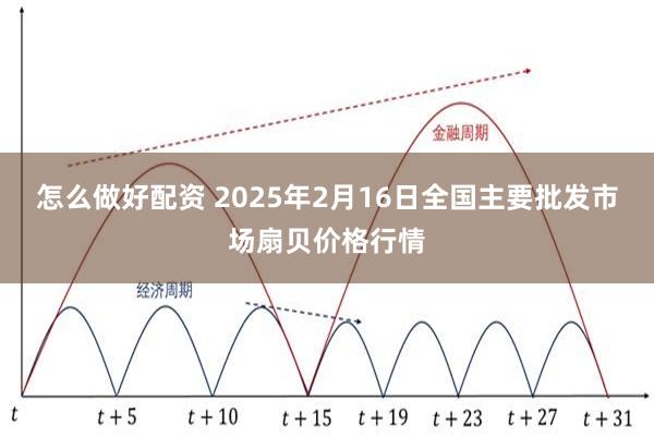 怎么做好配资 2025年2月16日全国主要批发市场扇贝价格行情