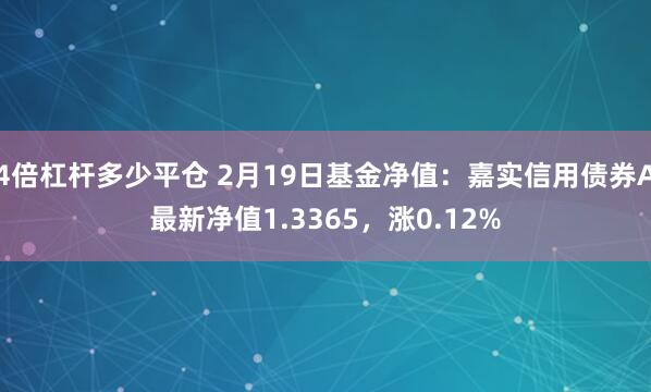 4倍杠杆多少平仓 2月19日基金净值：嘉实信用债券A最新净值1.3365，涨0.12%