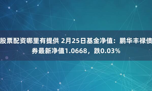 股票配资哪里有提供 2月25日基金净值：鹏华丰禄债券最新净值1.0668，跌0.03%