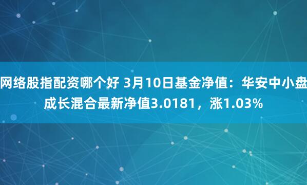 网络股指配资哪个好 3月10日基金净值：华安中小盘成长混合最新净值3.0181，涨1.03%